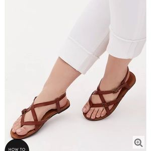 Torrid Gladiator Sandals